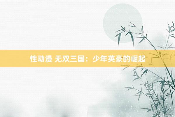 性动漫 无双三国：少年英豪的崛起