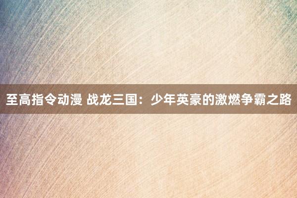 至高指令动漫 战龙三国：少年英豪的激燃争霸之路