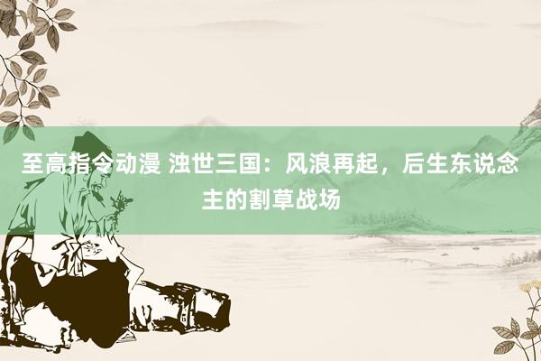 至高指令动漫 浊世三国：风浪再起，后生东说念主的割草战场