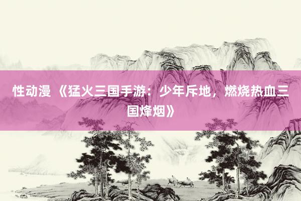 性动漫 《猛火三国手游：少年斥地，燃烧热血三国烽烟》