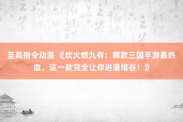 至高指令动漫 《炊火燃九有：哪款三国手游最热血，这一款完全让你进退维谷！》