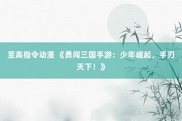 至高指令动漫 《勇闯三国手游：少年崛起，手刃天下！》