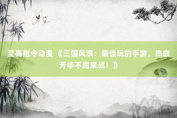 至高指令动漫 《三国风浪：最佳玩的手游，热血芳华不屈来战！》