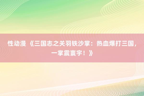 性动漫 《三国志之关羽铁沙掌：热血爆打三国，一掌震寰宇！》