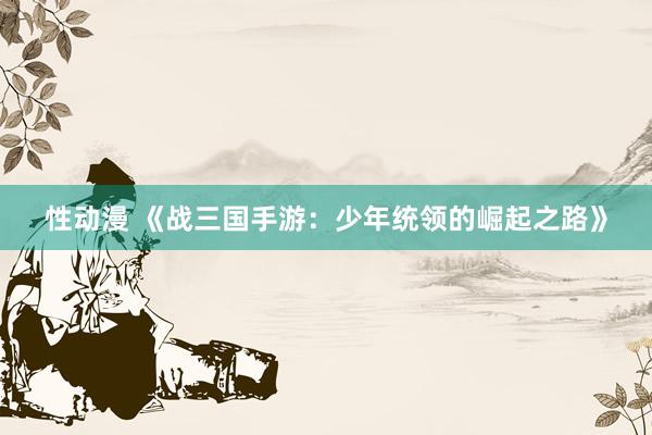 性动漫 《战三国手游：少年统领的崛起之路》